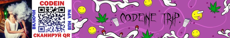 mega ONION  Ростов  Codein Purple Drank 