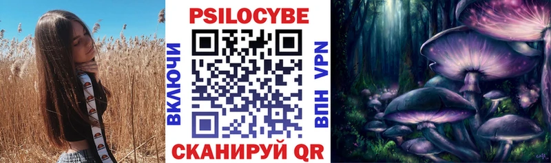 Галлюциногенные грибы Psilocybine cubensis Ростов